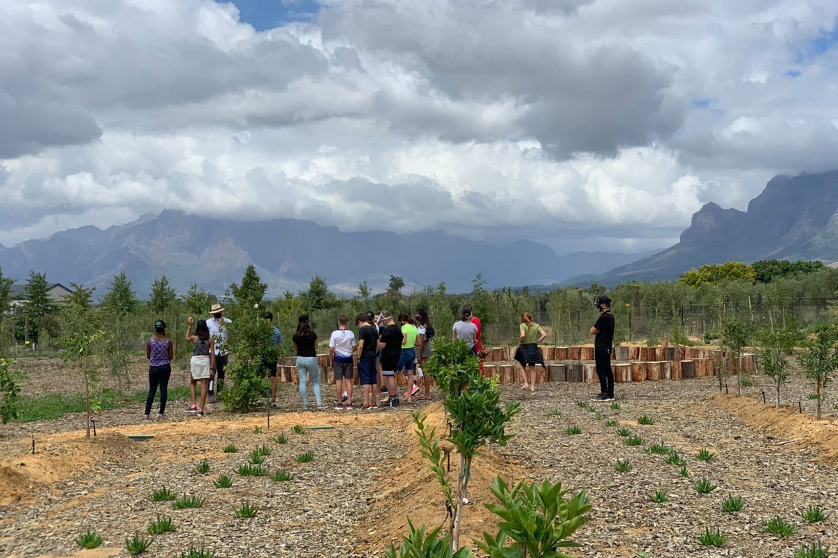 2c11ebc8-8067-430e-80cb-6f4ced6732c3